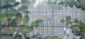 Razor-wire-at-Campsfield-by-Stand-Off-Films