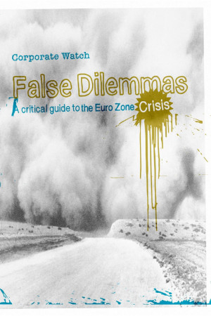 False Dilemmas: A Critical Guide to the Euro Zone Crisis