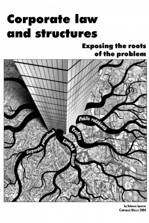Corporate law and structures - Exposing the roots of the problem