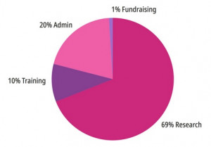Image shows a pie chart of Corporate Watch spending