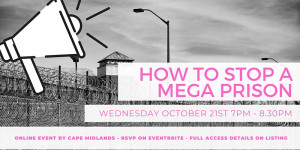 Image shows a megaphone with text in pink saying 'how to stop a mega prison'. There is a grey prison in the background