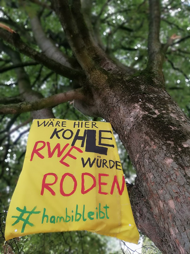Protest against RWE's destruction of Hambacher Forest
