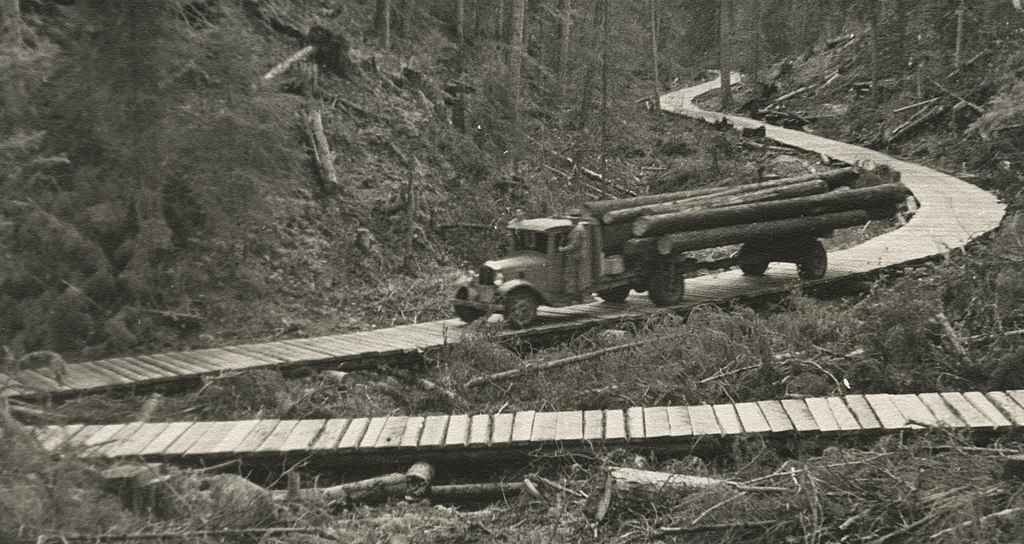 Truck loaded with logs on logging roa